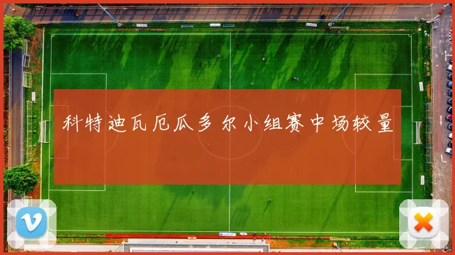 科特迪瓦厄瓜多尔小组赛中场较量