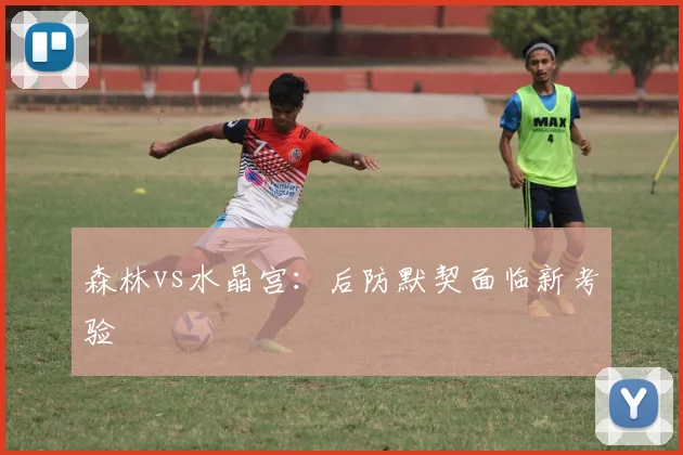 森林vs水晶宫：后防默契面临新考验